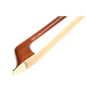 Arco Giovanni Lucchi