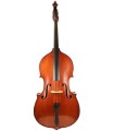 End of the 19th century Hilaire Darche 5 strings Doublebass