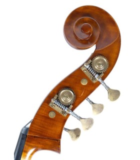 Guido Mariotto Double bass