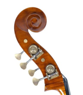 Guido Mariotto Double bass