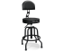 SL 25 Bass Stool with SL-R/1 Ergonomic backrest