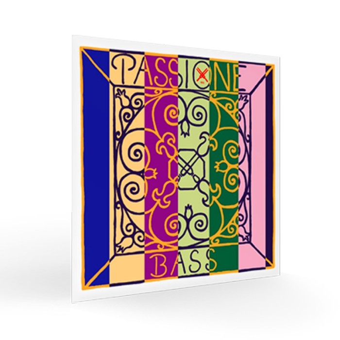 Pirastro Passione Orchestra Bass String Set