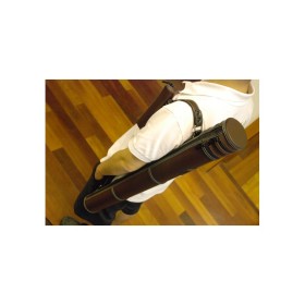 copy of Single case for German  bow