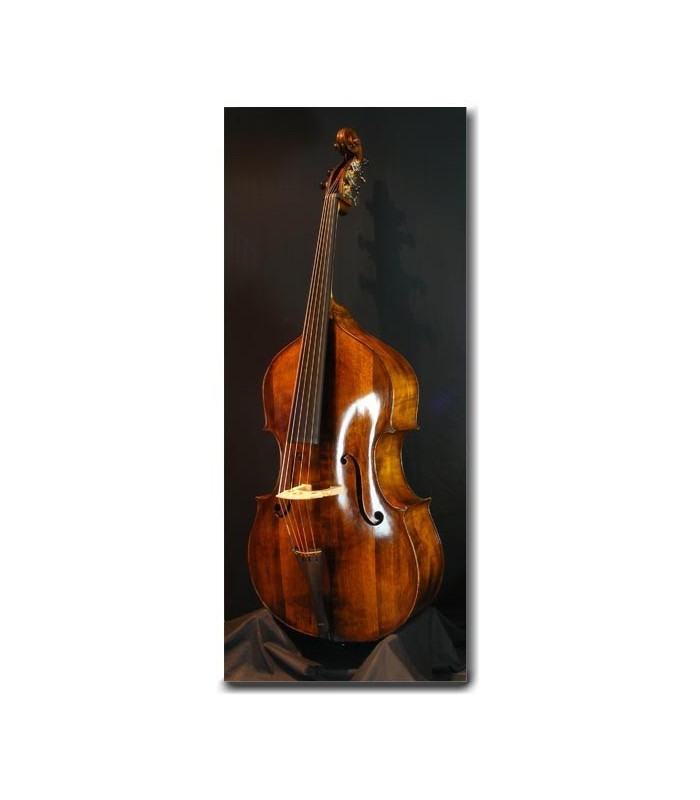 2010 Scb Master 5 Strings Doublebass