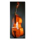 SCB Doublebass, Student model: Solip top