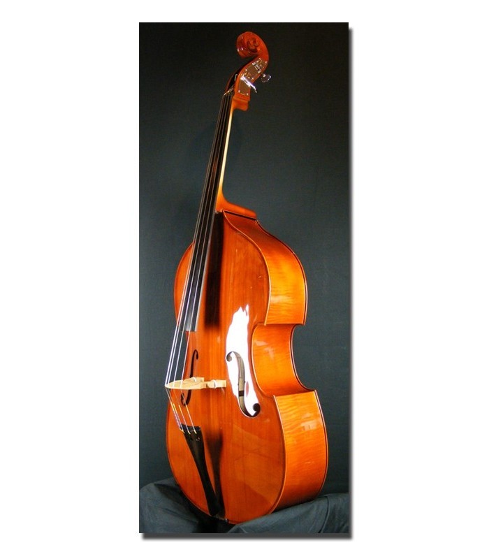 SCB Doublebass, Student model: Solip top