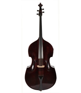 Jan Nepomuk Bína 1880 Praga