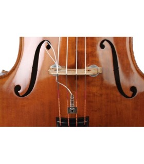 SCb TRavelBass Elite