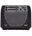 Acoustic Image Corus S4 2 ch 600watt Convertible Combo w/Effects