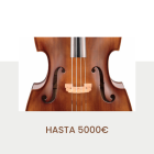 Hasta 5000 €