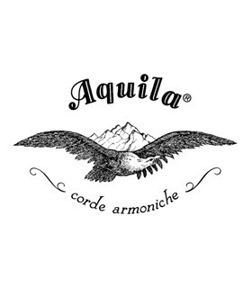 Aquila